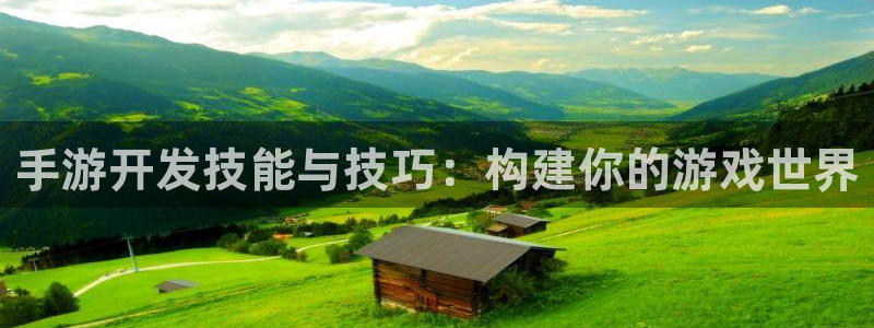 恒盛娱乐登录：手游开发技能与技巧：构建你的游戏世界