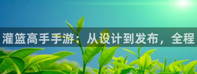 恒盛娱乐下载：灌篮高手手游：从设计到发布，全程