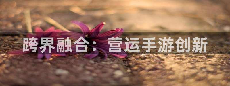 恒盛娱乐注册：跨界融合：营运手游创新