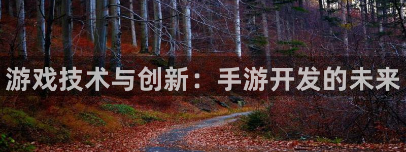 恒盛娱乐：游戏技术与创新：手游开发的未来