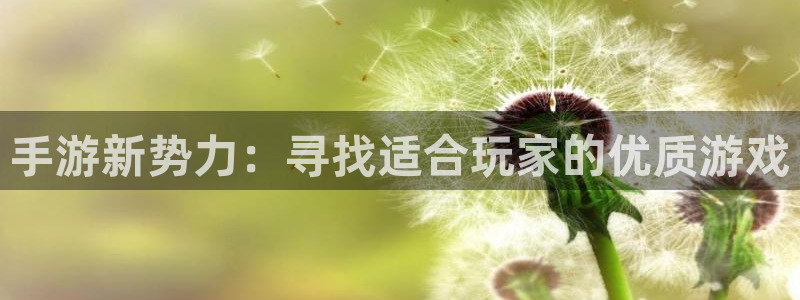 恒盛娱乐平台：手游新势力：寻找适合玩家的优质游戏