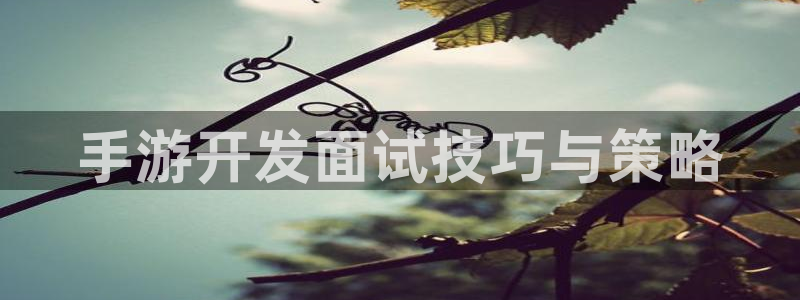 恒盛娱乐注册：手游开发面试技巧与策略