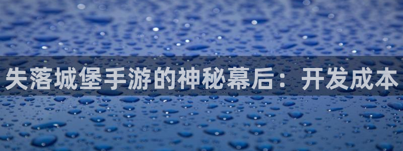 恒盛娱乐登陆：失落城堡手游的神秘幕后：开发成本
