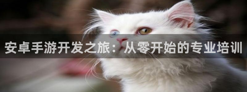 恒盛娱乐首页：安卓手游开发之旅：从零开始的专业培训