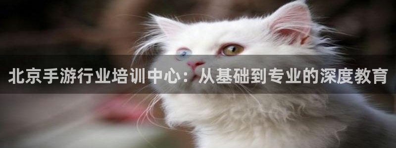 恒盛娱乐官网：北京手游行业培训中心：从基础到专业的深度教育