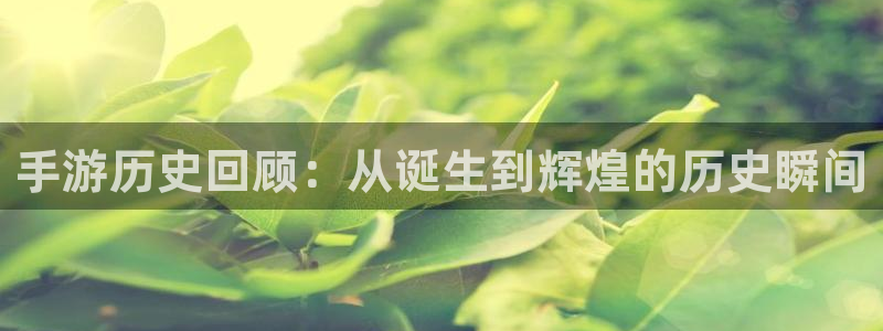 恒盛娱乐：手游历史回顾：从诞生到辉煌的历史瞬间