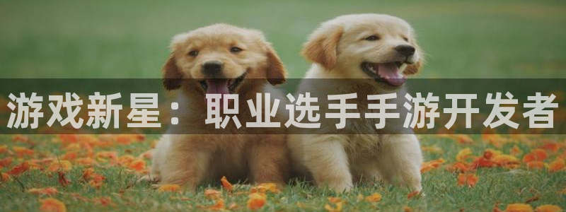 恒盛娱乐官网：游戏新星：职业选手手游开发者