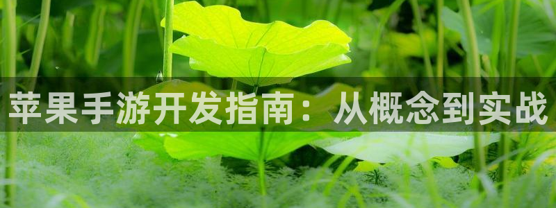 恒盛娱乐登陆：苹果手游开发指南：从概念到实战