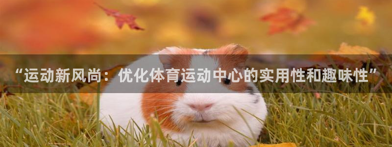 xc体育：“运动新风尚：优化体育运动中心的实用性和趣味性”