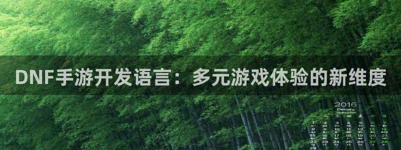 恒盛娱乐登陆：DNF手游开发语言：多元游戏体验的新维度