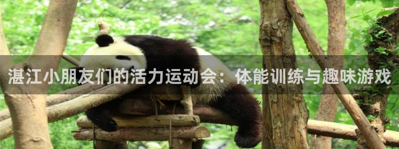 xc体育：湛江小朋友们的活力运动会：体能训练与趣味游戏