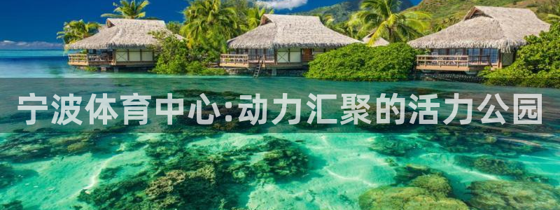 xc体育app官方网站：宁波体育中心:动力汇聚的活力公园