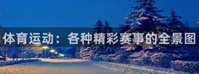 xc体育：体育运动：各种精彩赛事的全景图