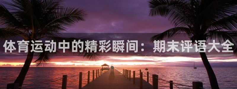 xc体育：体育运动中的精彩瞬间：期末评语大全