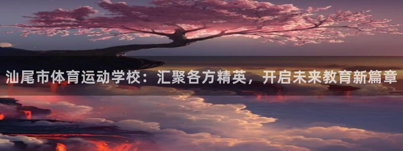 xc体育app官方网站：汕尾市体育运动学校：汇聚各方精英，开启未来教育新篇章
